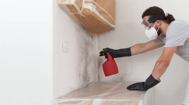Professional Attic Mold Remediation technician working in Annandale, NJ