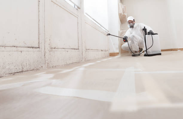 24/7 Emergency Attic Mold Remediation experts in Annandale, NJ